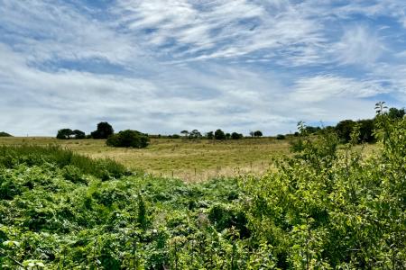 View over Adjoining Open Country