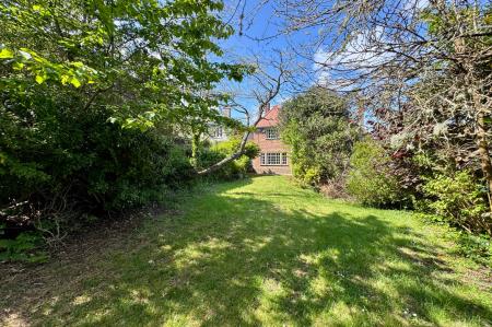 Rear of Property