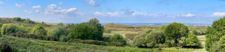 Panoramic View