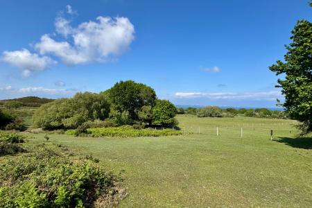 Location - Adjacent Open Heathland
