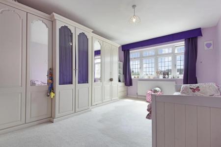 24 THE RED PURPLE.jpeg