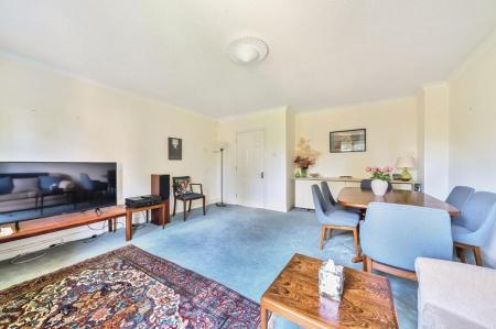 17295_4a5e48fb-faa5-4291-9e6d-7c6f3ec489dd_IMG_10_