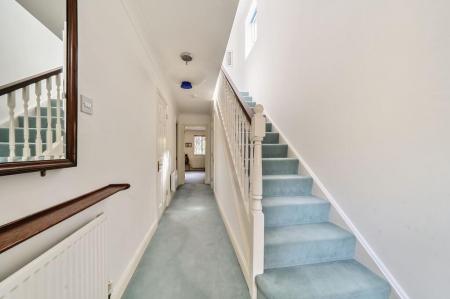 17295_4a5e48fb-faa5-4291-9e6d-7c6f3ec489dd_IMG_16_