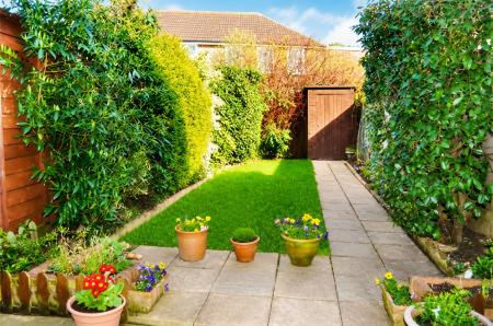 colenso drive garden enhanced.png