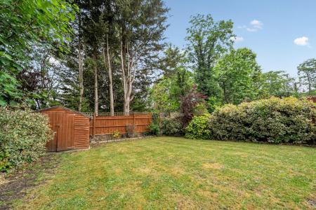 garden 1.jpg