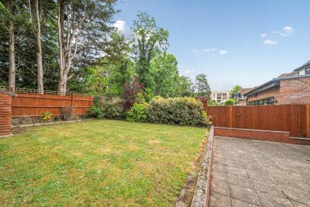 garden 2.jpg