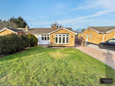 WhatsApp Image 2026-01-24 at 14.22.55.jpg