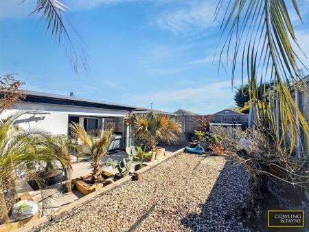 LOW MAINTENANCE REAR GARDEN