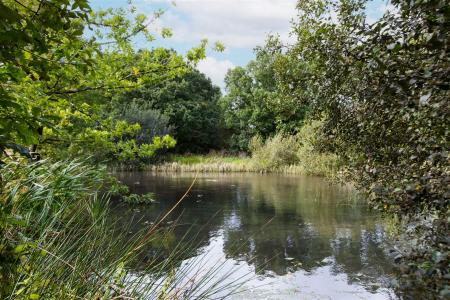 Wildlife Lake