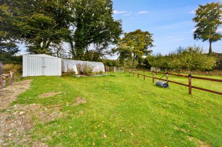 Store & Polytunnel