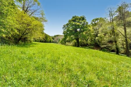 Meadow