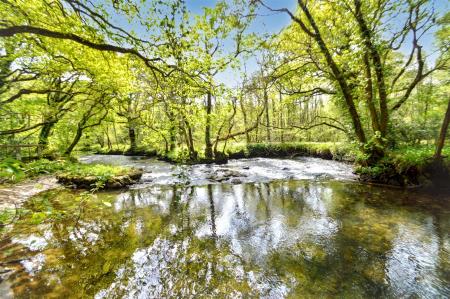 River