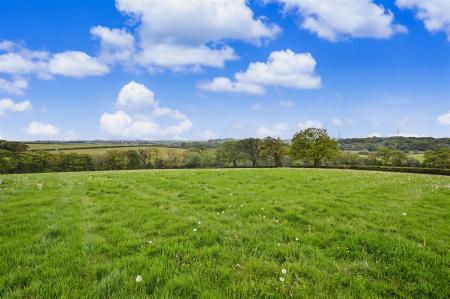 The Land