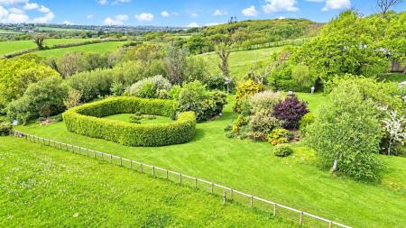 The Garden