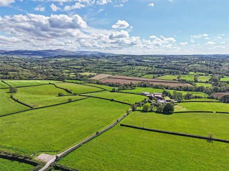 Buskin Farm