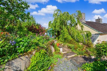 Side Garden