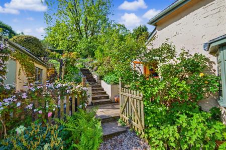 Side Garden