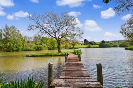 Lake & Island
