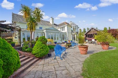 Patio Terrace