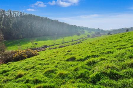 Valley