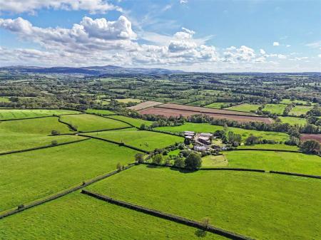Buskin Farm