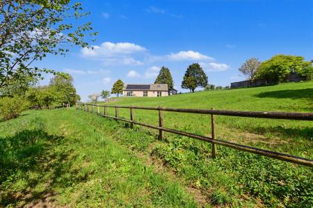 Garden & Land