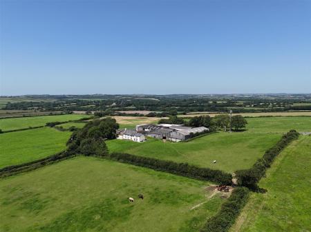 The Barton