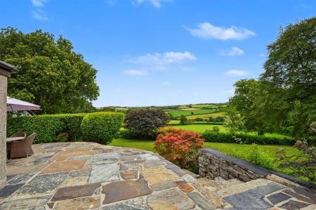 Patio View