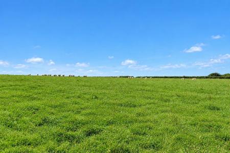 Grass / Arable Land