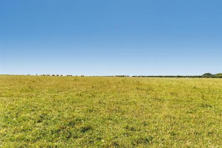 The Land