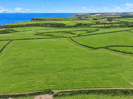 Grass /Arable Land