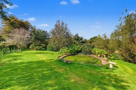 Pond Garden