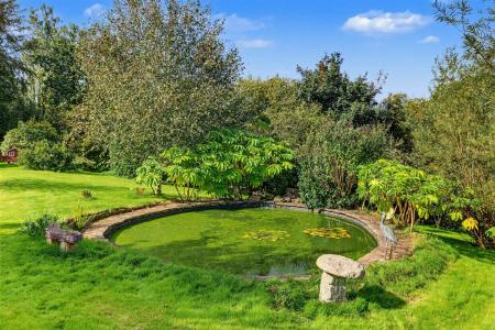 Feature Pond