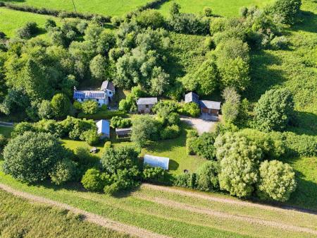 Green Bank