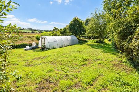 Vegetable Garden