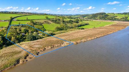 Green Bank