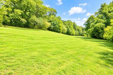 Land available to rent