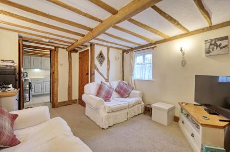 IMG_1322_11 copy 2.jpg