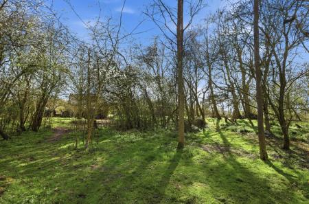 Woodland