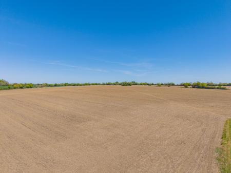 Surrounding Farmland