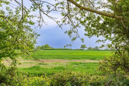 Surrounding Countryside