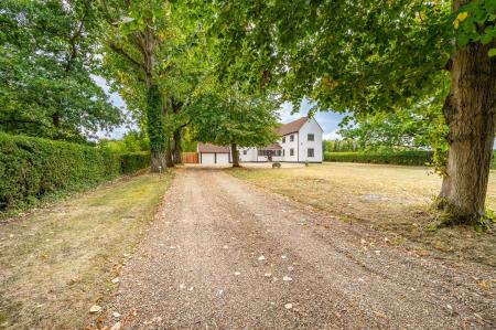 Tree Lined Driveway