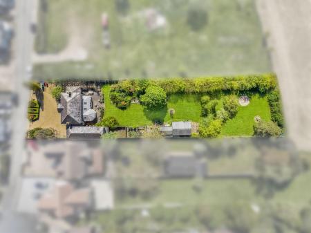 Grounds & Driveway