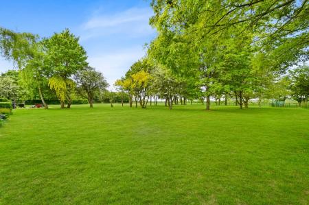Grounds