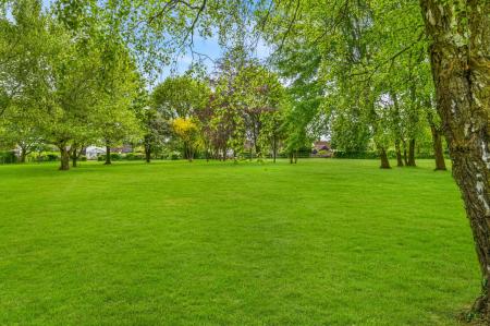 Grounds