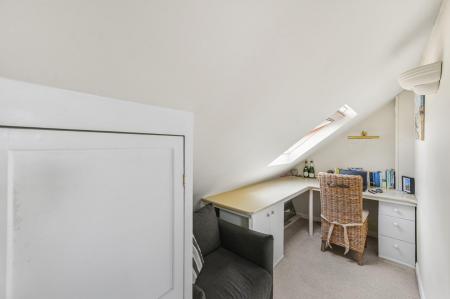 Study Area