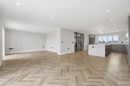 Kitchen/Dining/Family Room