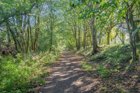 Flitch Way