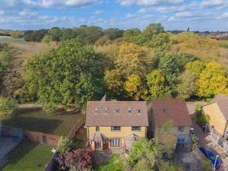 DJI_20261014132256_0354_D-2.jpg