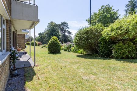 Photo 15